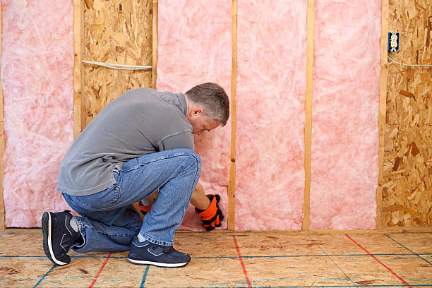 Best DIY Insulation Kits and Guidance in Memphis, MI